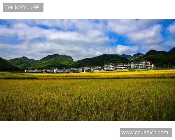 红河队勇赴滇超联赛展现实力全力争胜迎接挑战